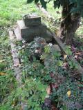 image of grave number 105053